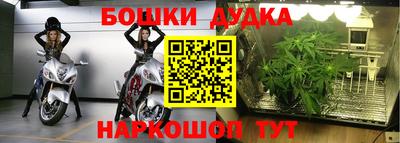 гашик Славянск-на-Кубани