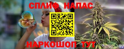 гашик Славянск-на-Кубани