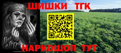 МДПВ Сланцы