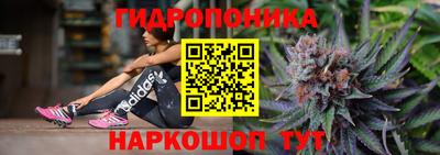 гашик Славянск-на-Кубани