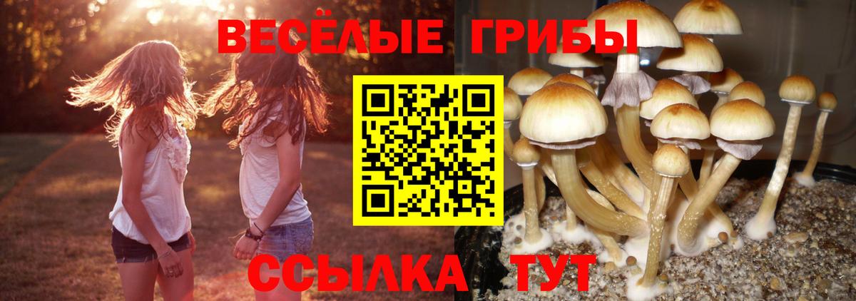 ГАШИШ  КОКАИН  Мефедрон кристаллы  МАРИХУАНА  Новороссийск  Гашиш  Вход с VPN 